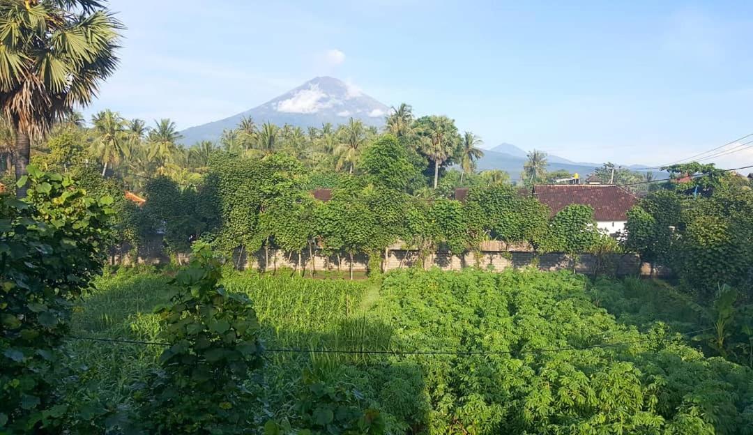 Black Sand Hostel Amed Esterno foto