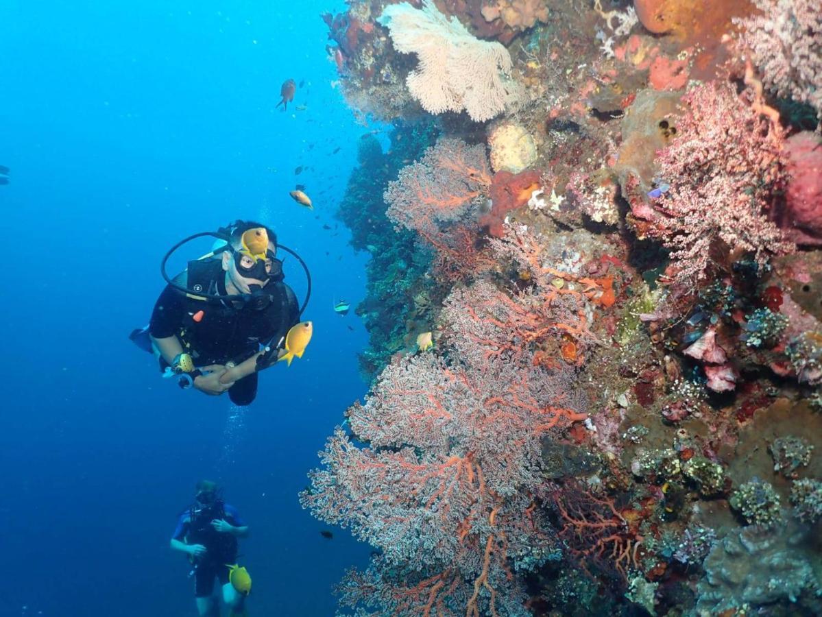 Black Sand Hostel Amed Esterno foto